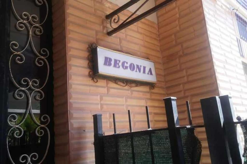 Aurelia - Apartment Begonia Rome Bagian luar foto